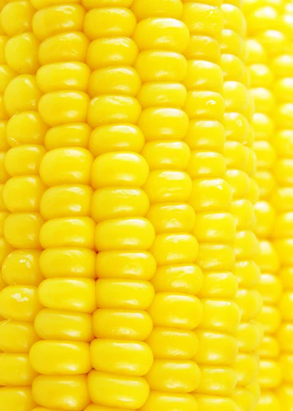 Mazorca de maíz amarillo —  Fotos de Stock