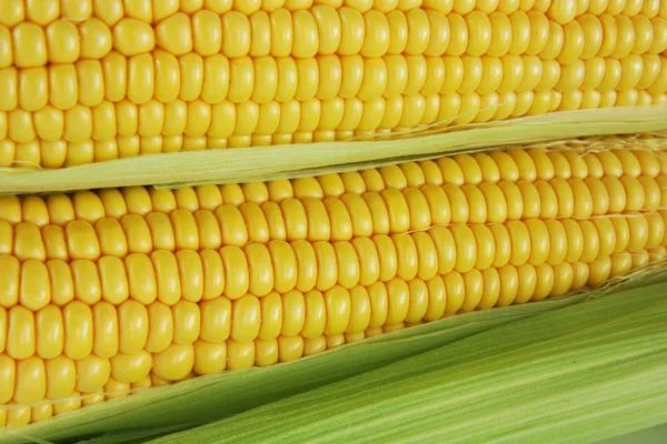 Kukorica csutka — Stock Fotó