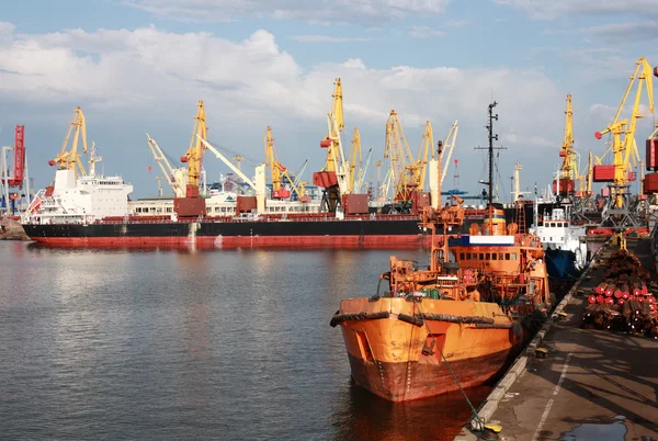 Guindastes em um porto, descarregando navios — Fotografia de Stock