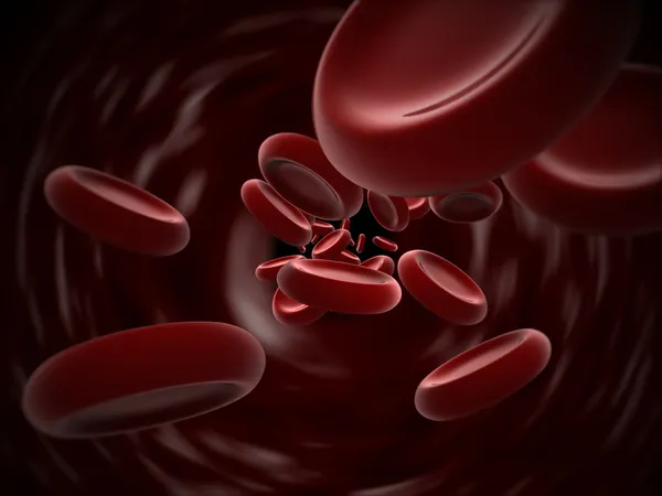 红血细胞、 医疗、 卫生、 生物、 心脏病学 — 图库照片#