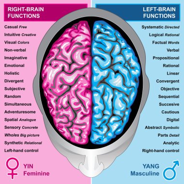 Human brain left and right functions clipart