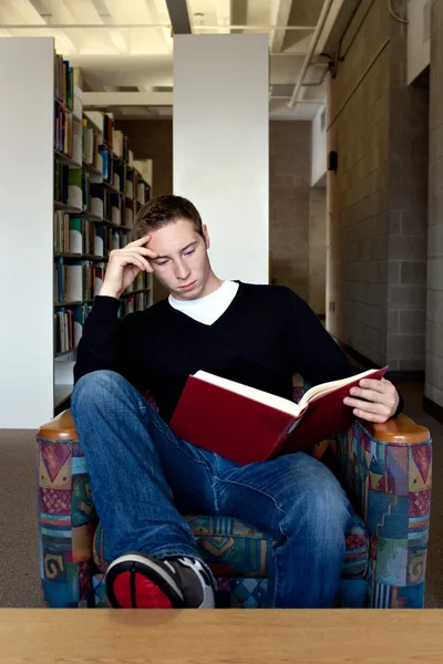 Reading at the Library — Stock Photo, Image