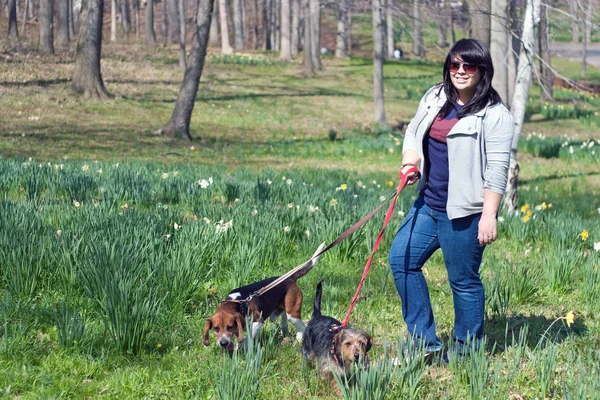 Frau geht mit ihren Hunden spazieren — Stockfoto