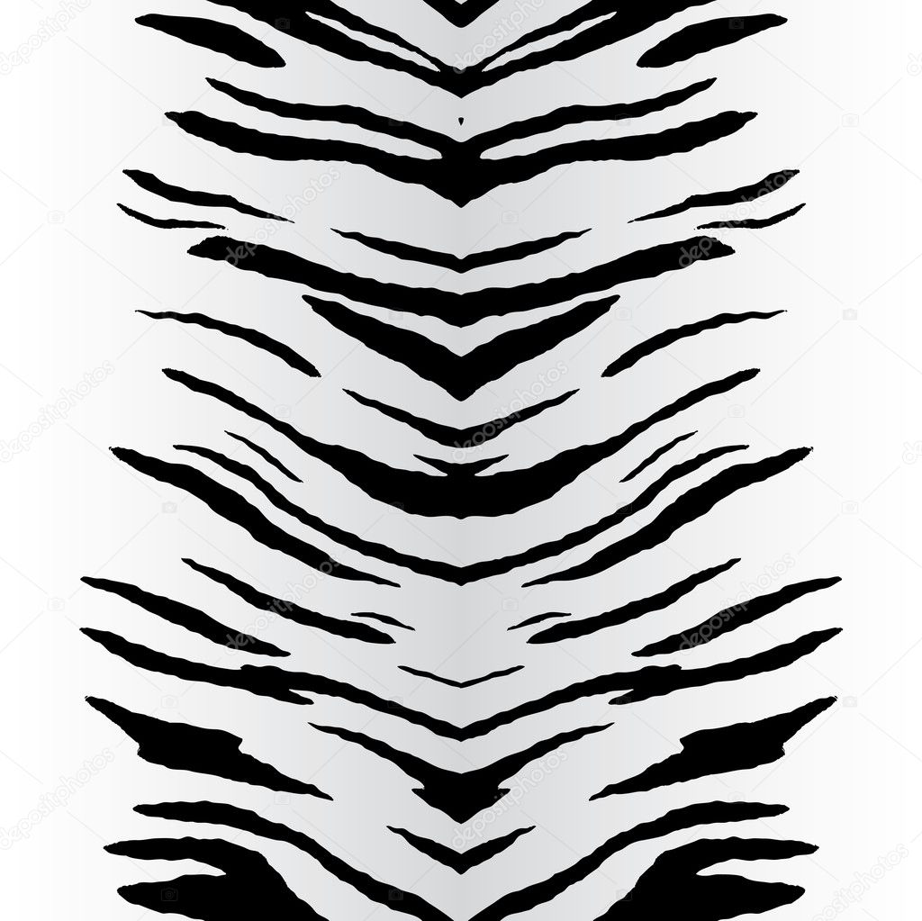 Zebra Stripes Vector