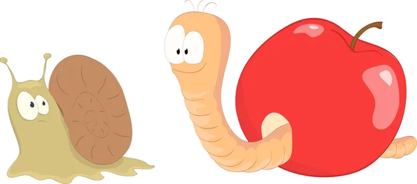 Worm and Snail — Stock Vector