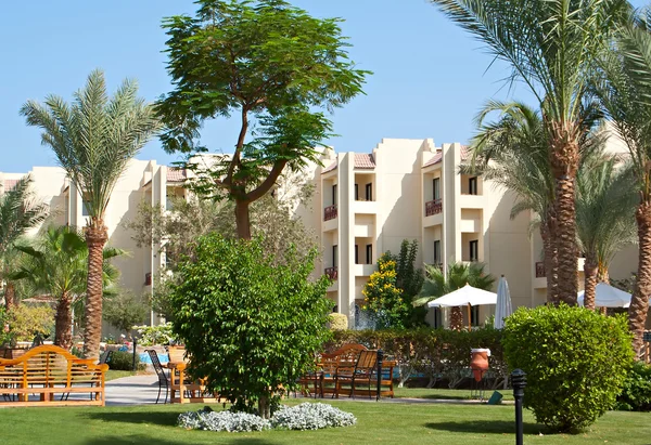 棕榈树和常青植物在酒店 — 图库照片