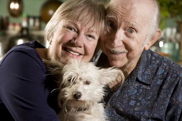 Портрет пожилой пары с собакой — стоковое фото