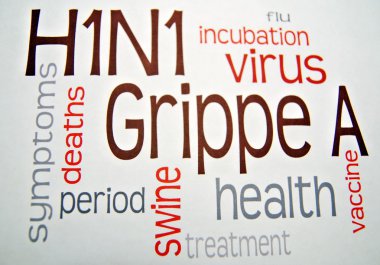 domuz gribi h1n1 virüsü aşısı hastalığı