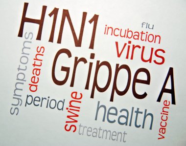 domuz gribi h1n1 virüsü aşısı hastalığı