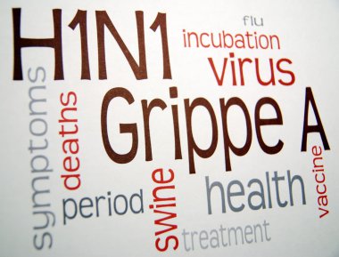 domuz gribi h1n1 virüsü aşısı hastalığı