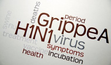 domuz gribi h1n1 virüsü aşısı hastalığı