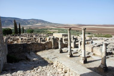 Volubilis Roma eski şehir