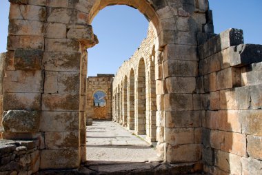 Volubilis Roma eski şehir