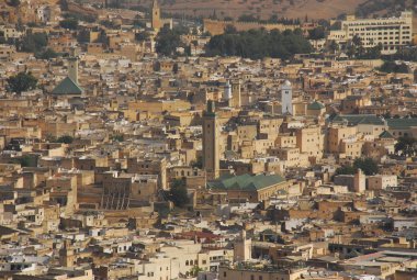 Panorama view of Fez clipart