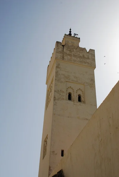 Mezquita torre en morocco — Foto de Stock