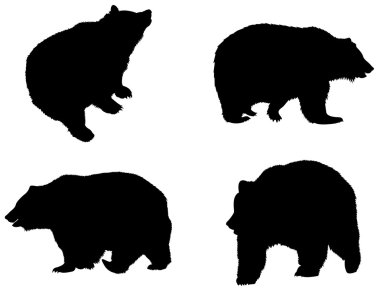 Detailed bear's silhouettes clipart