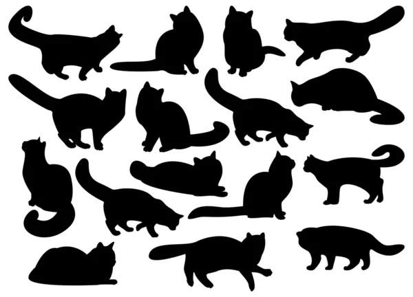 Grande conjunto de silhuetas de gato — Fotografia de Stock