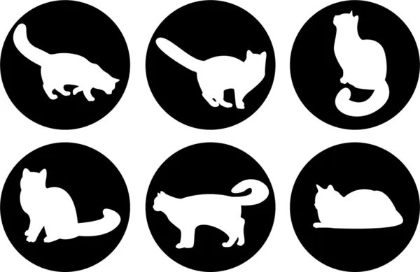 Logo gatti, bottoni gatto, icone gatto — Foto Stock