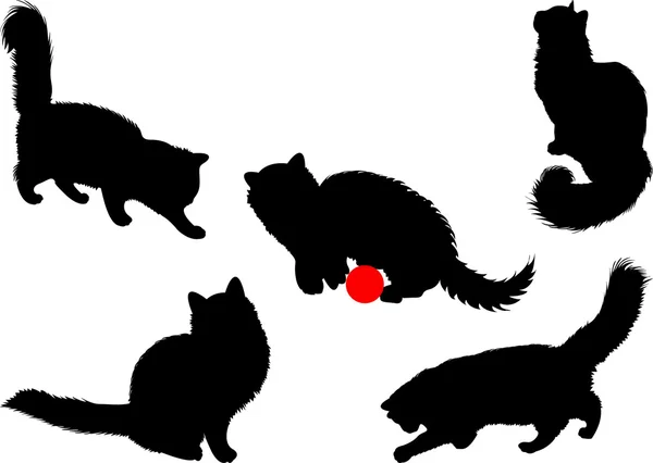 Силуэты кошек — стоковое фото