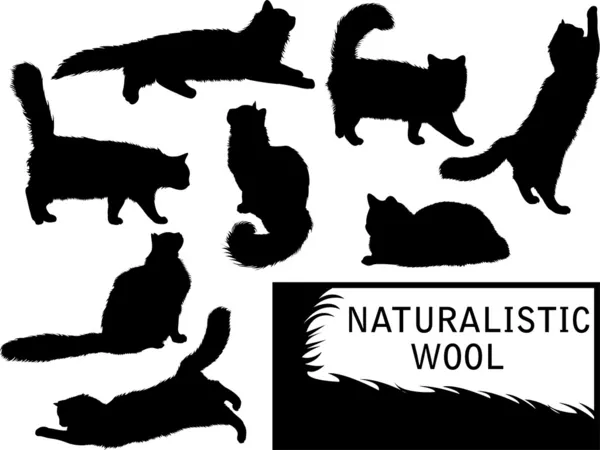 Set detaillierter Katzensilhouetten — Stockfoto