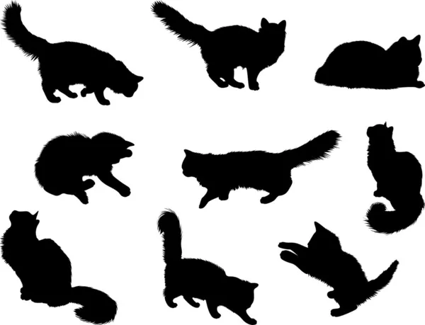 Bir sürü kedi silueti. — Stok fotoğraf