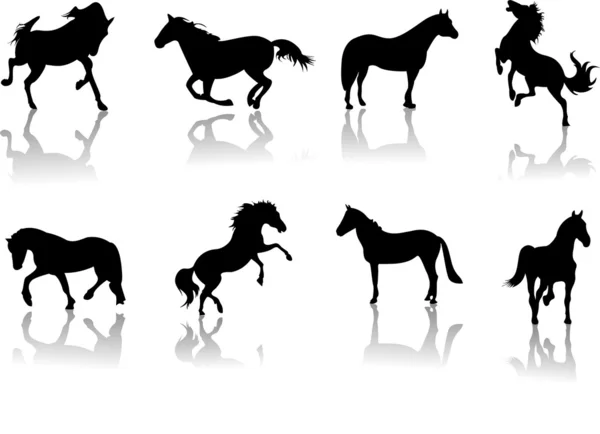 Zbiór szczegółowych koni — Zdjęcie stockowe