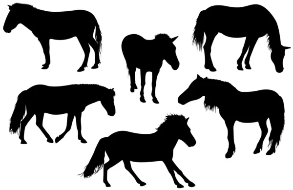 Conjunto de cavalos detalhados — Fotografia de Stock