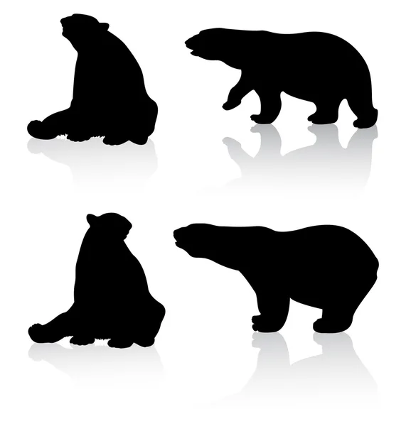 Podrobné medvědi siluety — Stock fotografie