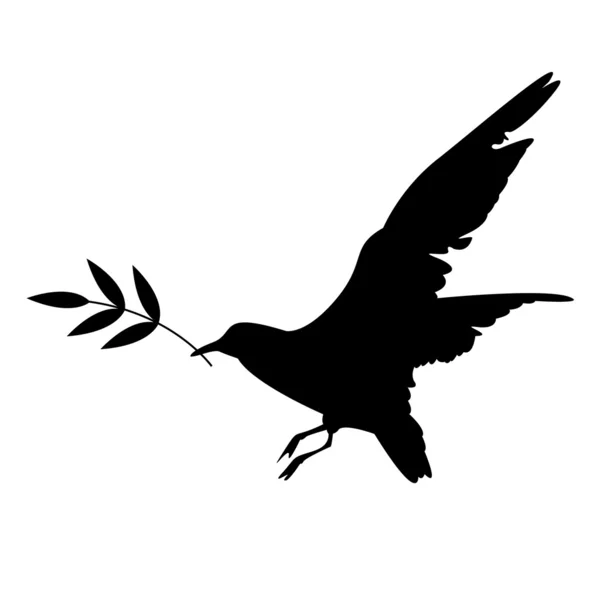 Pássaro com um ramo — Fotografia de Stock