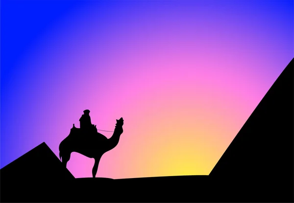De persoon op een kameel — Stockfoto