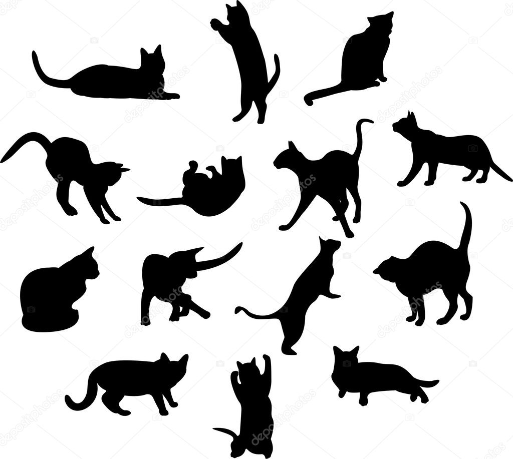 Big set of cats silhouettes