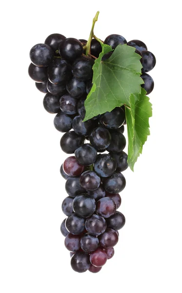 Dojrzałe czerwone winogrona izolowane na białym — Zdjęcie stockowe