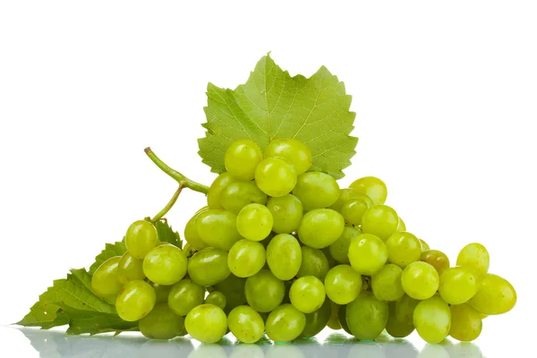 Dojrzałe zielone winogrona izolowane na białym — Zdjęcie stockowe