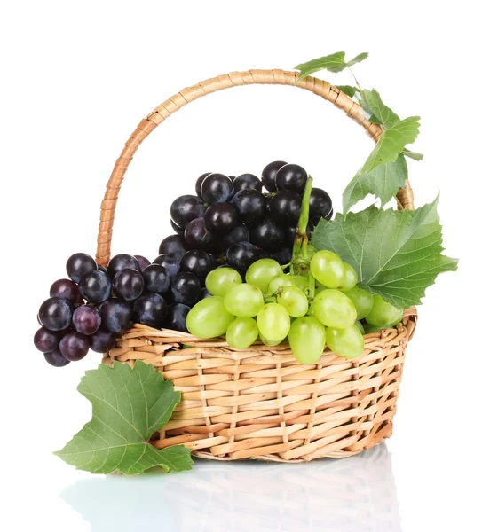 Rijpe rode druiven in mand — Stockfoto