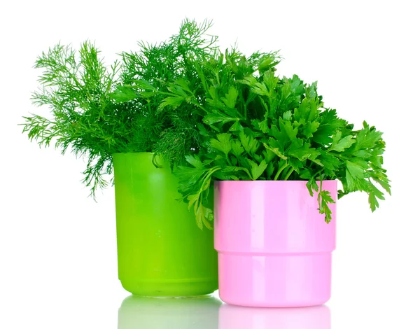 Fresh parsley and dill in cups — Stock Photo, Image