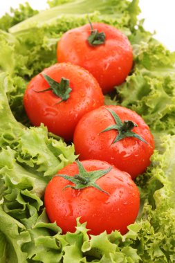yeşil salata arka plan üzerinde kırmızı domates sebze