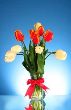 Tulip flower geïsoleerd op witte achtergrond