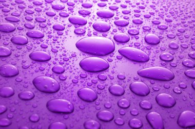 Violet water drops background clipart