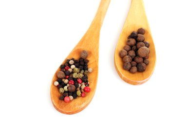 Spices in the wooden spoons