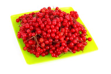 Kartopu kırmızı meyveler üzerinde beyaz izole et.