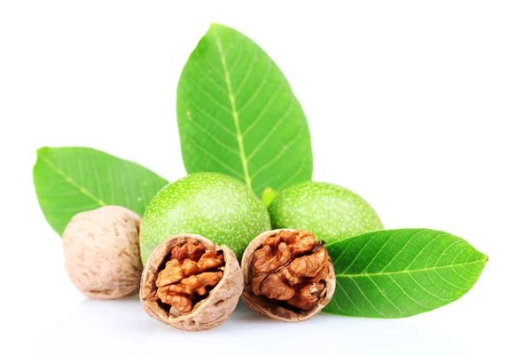 Zelené vlašské ořechy a listy — Stock fotografie