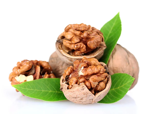 Zelené vlašské ořechy a listy — Stock fotografie