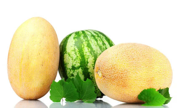 Två mogna meloner och vattenmelon — Stockfoto