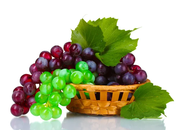 Reife grüne und rote Trauben im Korb — Stockfoto