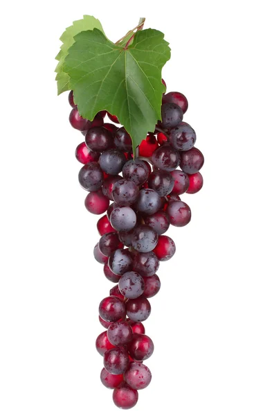Uvas vermelhas maduras — Fotografia de Stock