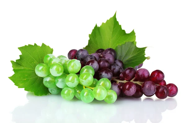 Зрізати зелений і червоний виноград — стокове фото