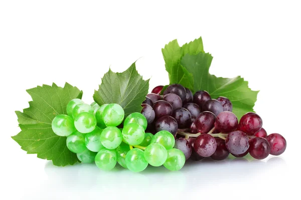 Mogna gröna och röda druvor — Stockfoto