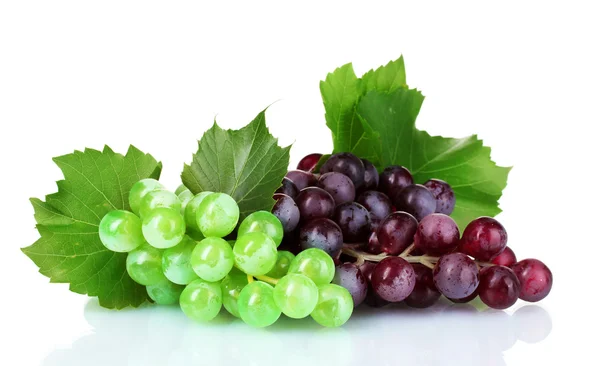 Спелые зеленый и красный виноград — стоковое фото
