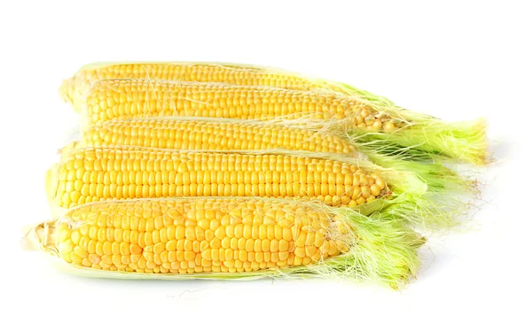 Friss kukorica — Stock Fotó