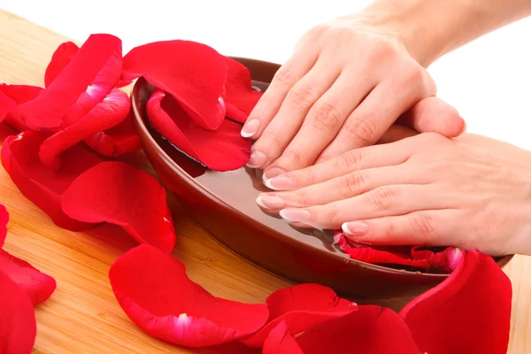 Handen met Frans manicure ontspannen in kom met water met rozenblaadjes — Stockfoto